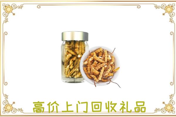 三门峡市周边回收虫草